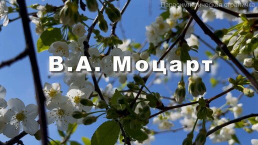 В.А.Моцарт, фантазия до минор. Музыка для души