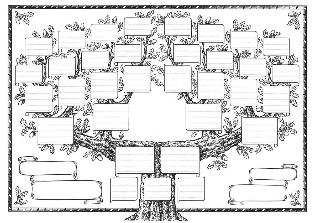 Древо семьи: программа для сохранения наследия бесплатно | Код Памяти | Дзен