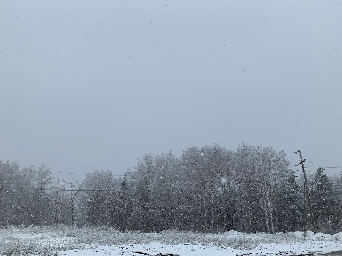 Фото сделано 23.04.24