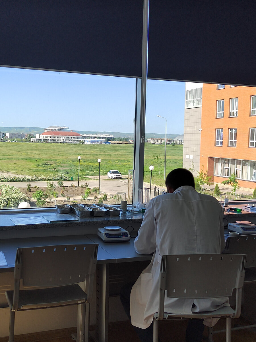 📸: Александр Прокофьев (тут стадион как раз виден).