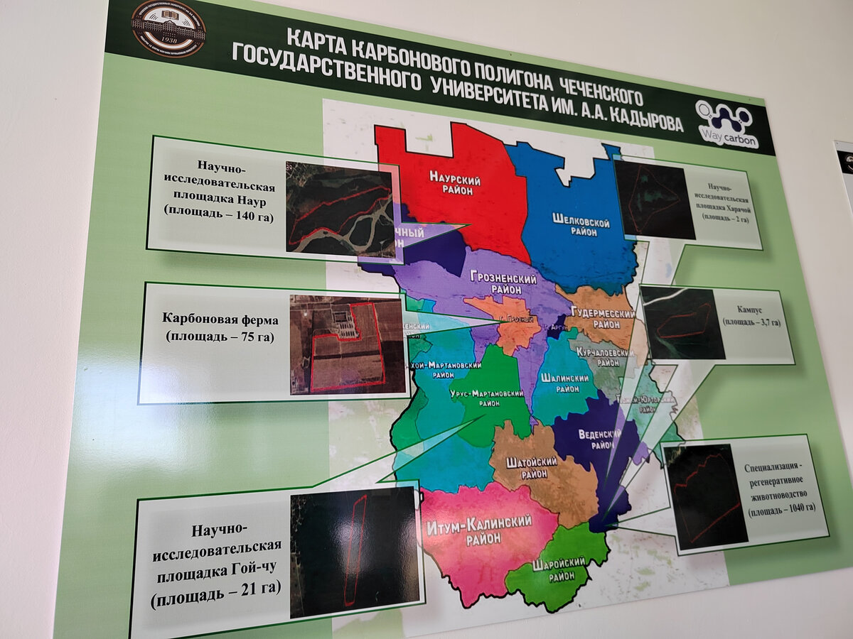 📸: Александр Прокофьев