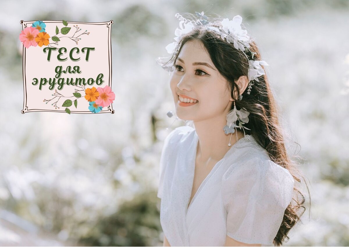 Источник изображения: pixabay.com, дизайн автора публикации