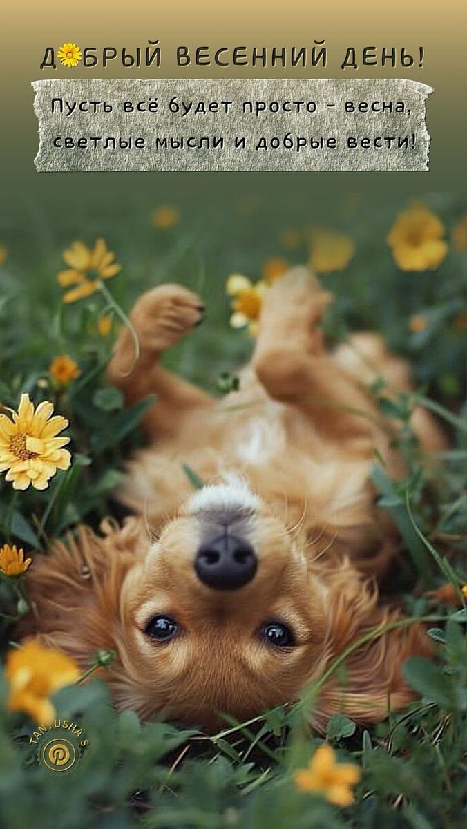 Картинка взята из интернета.