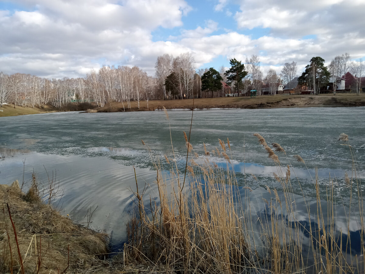 -7 сегодня было с утра, иней только -только растаял 