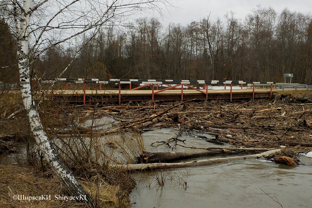 Мост на реке Лужа в половодье. 4 апреля 2024.