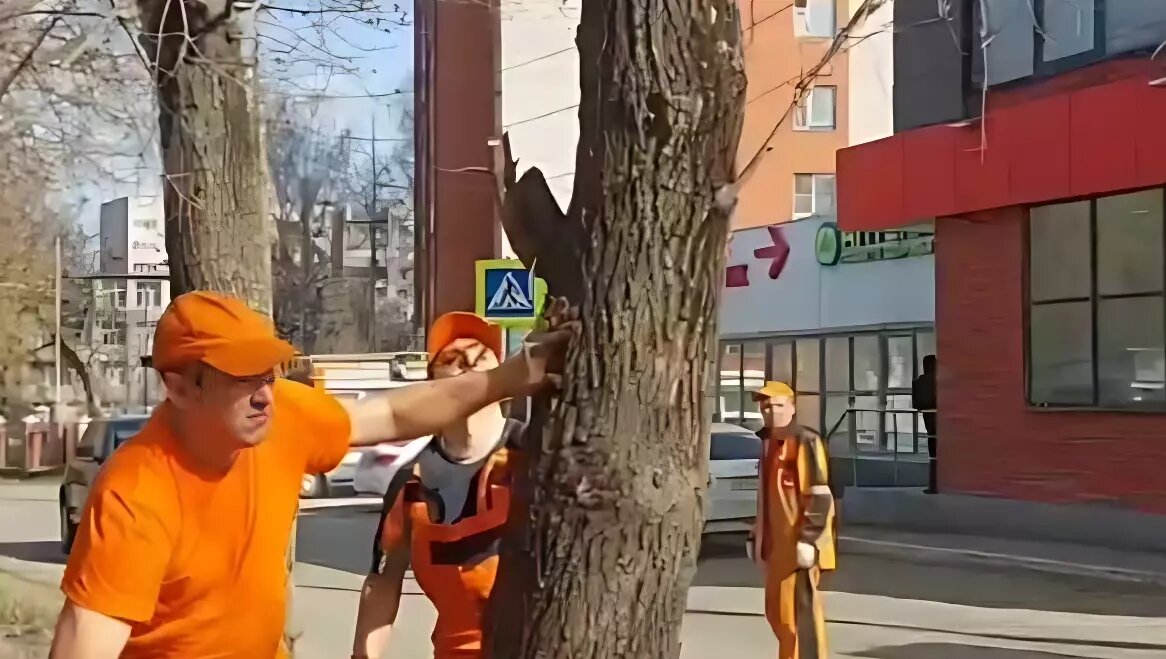     Источник: Скриншот видео администрации Ижевска