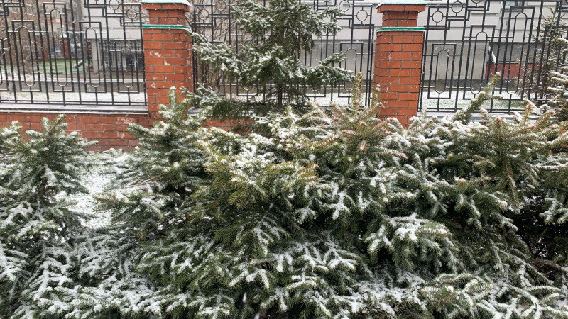     Апрельский снег. altapress.ru