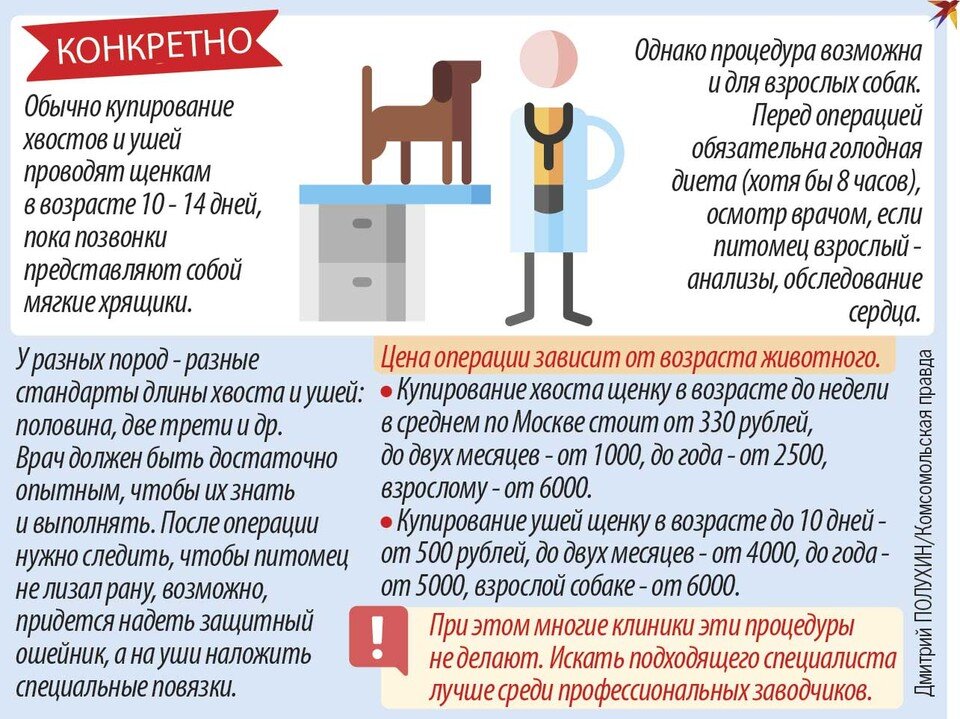    Конкретно Дмитрий ПОЛУХИН