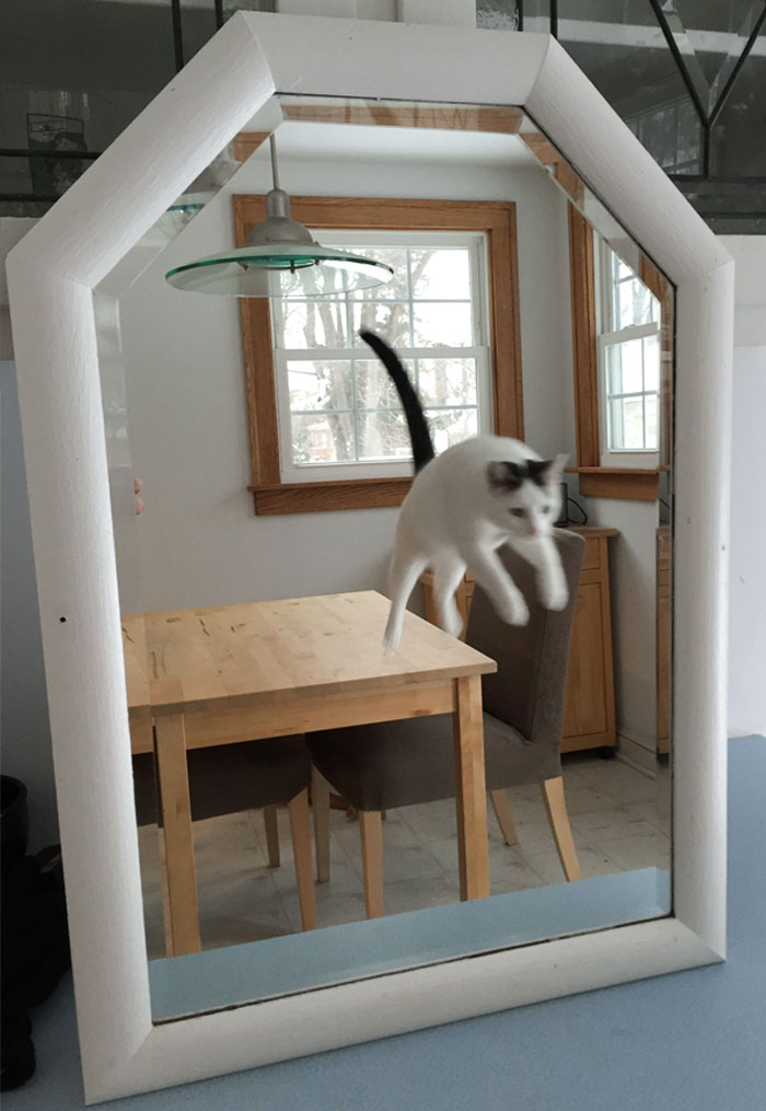 Источник: twitter.com/SellingAMirror