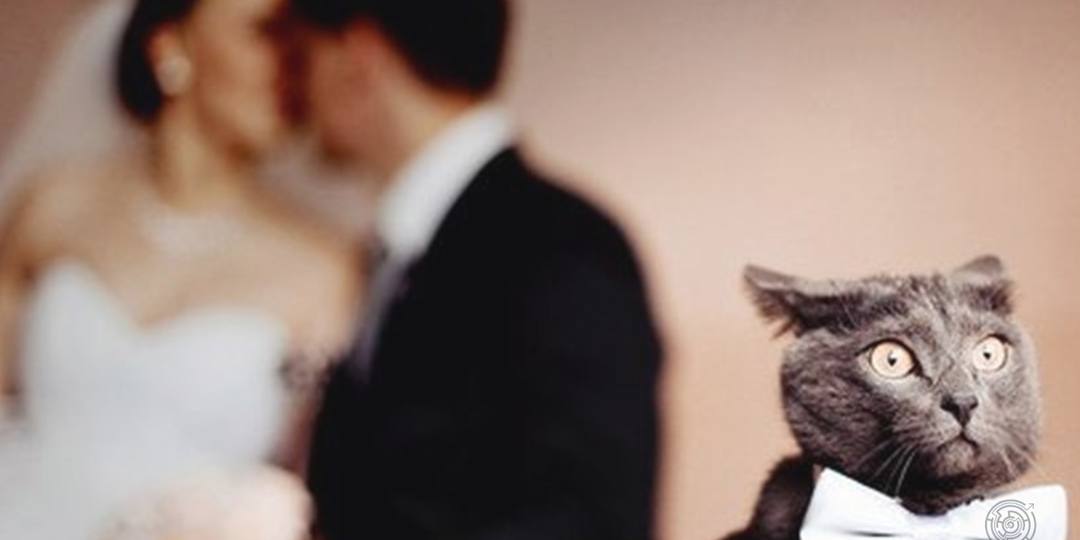 Как банкротство влияет на брак?