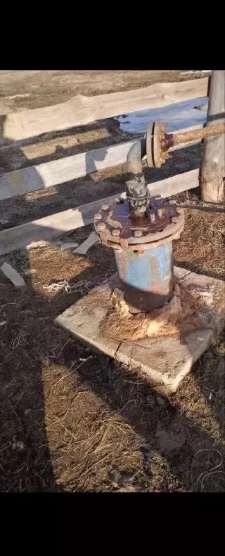     Источник: Прокуратура Омской области