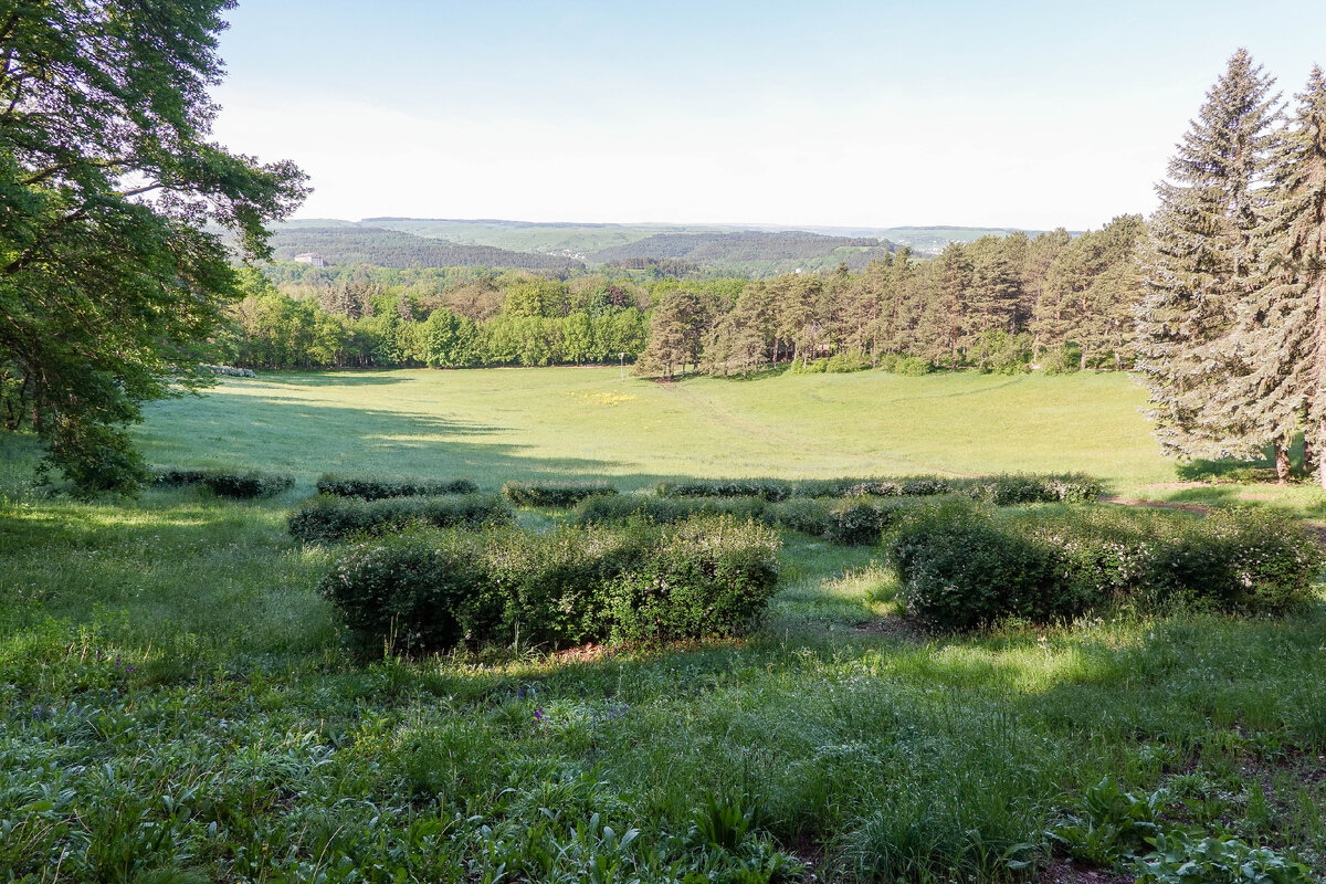 Курортный парк Кисловодска. Фото автора. Просто чтобы вам было повеселее читать.