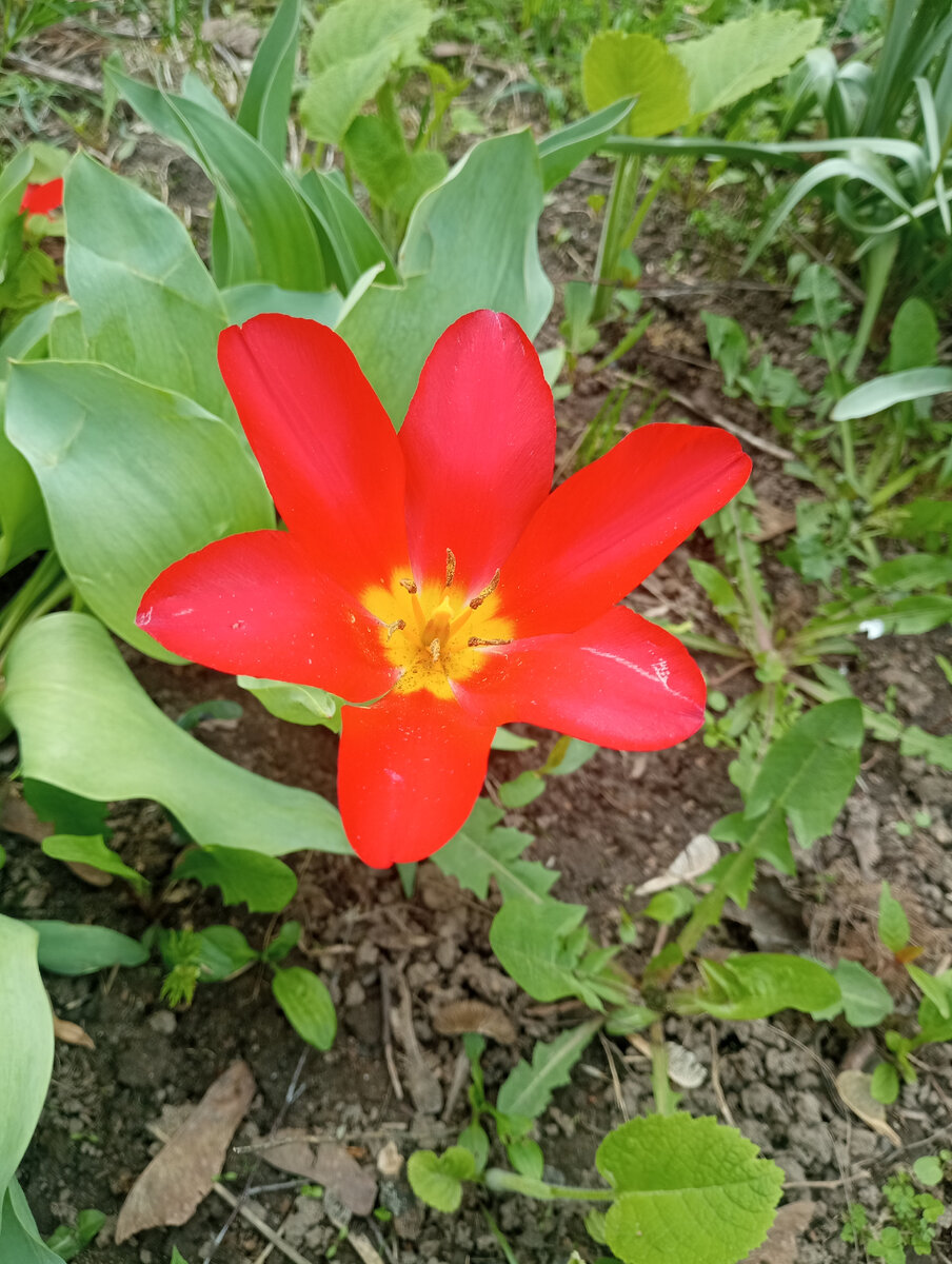 Вчера нафоткала