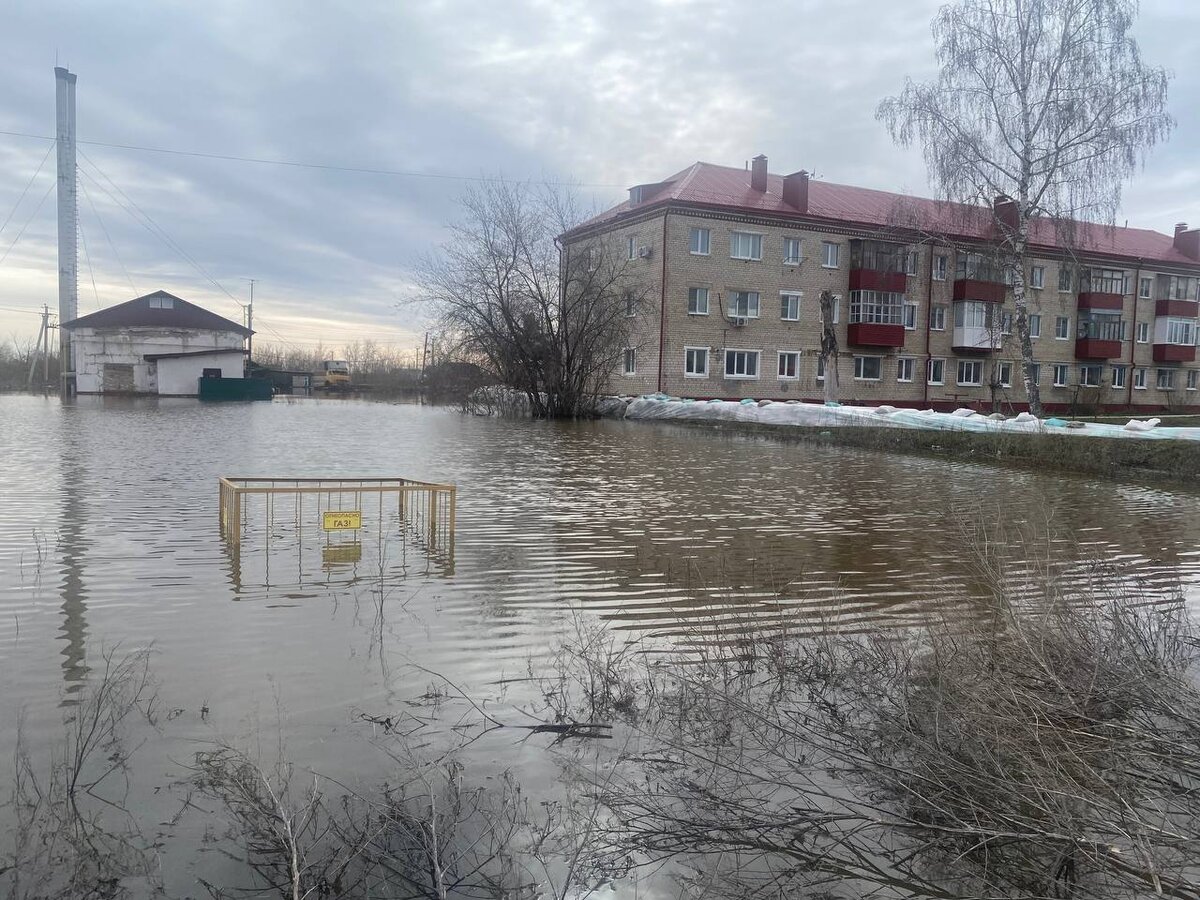 Волна паводка спускается ниже по течению Ишима.  Фото: ФедералПресс / Наталья Шалыгина