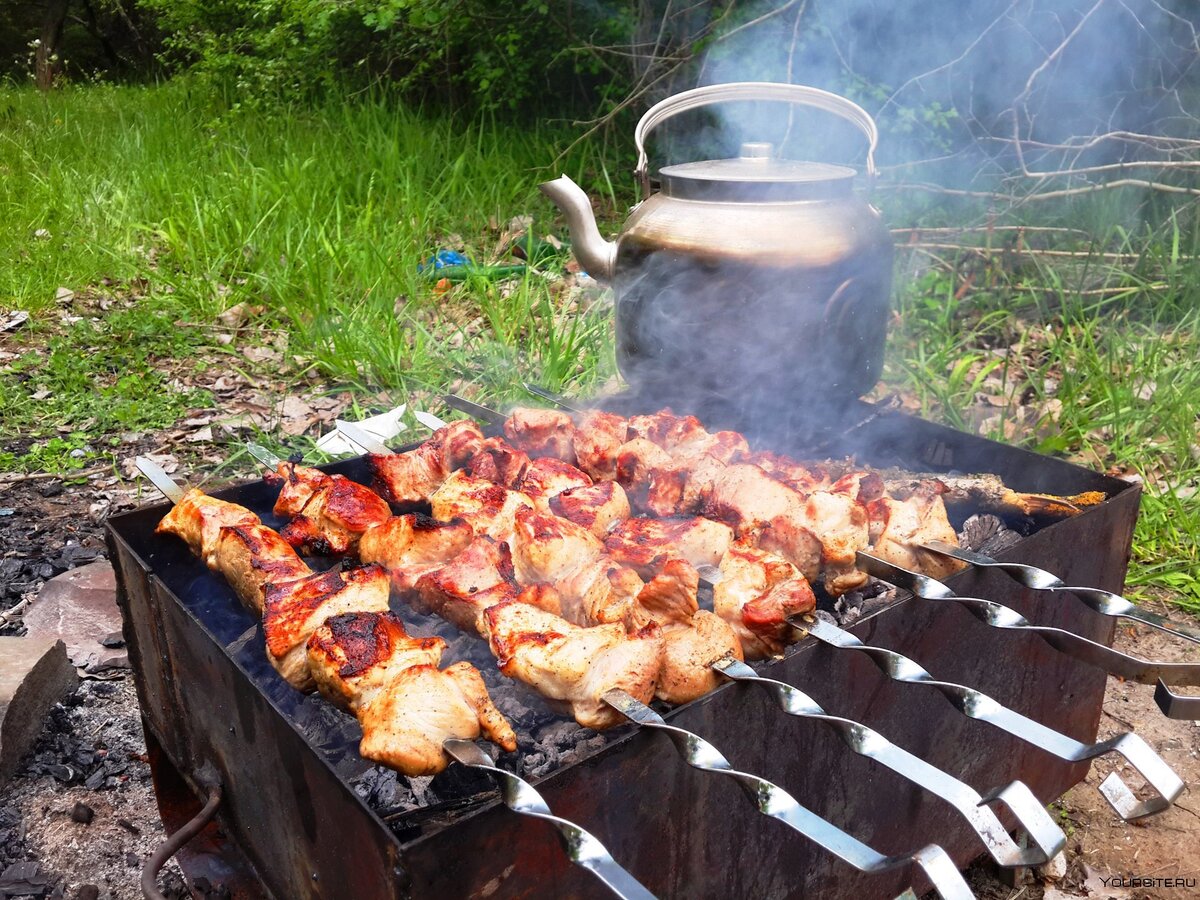 Майские праздники - время шашлычков