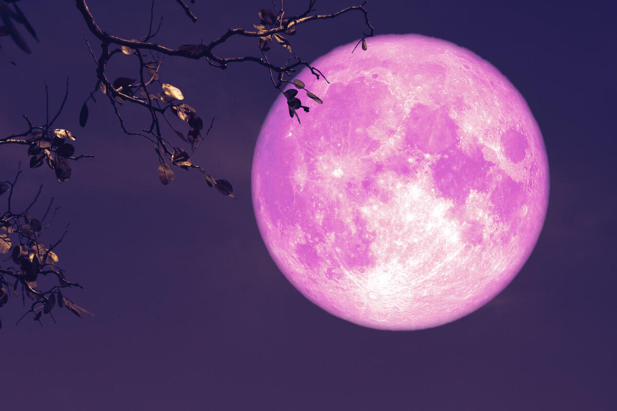    Розовая Луна перемен: знаки зодиака, жизнь которых изменится к лучшему после Полнолуния 24 апреля 123RF/legion-media.ru