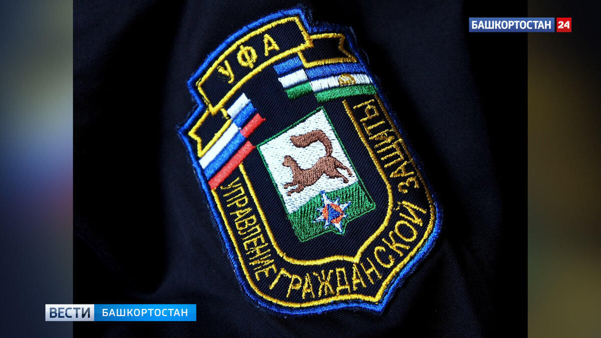    В Уфе на улице Минигали Губайдуллина дерево упало на три автомобиля