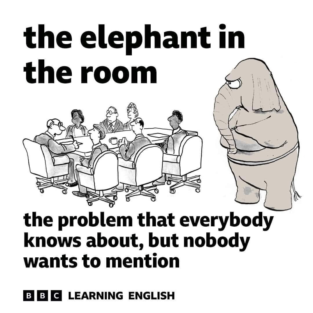 White Elephant idiom.