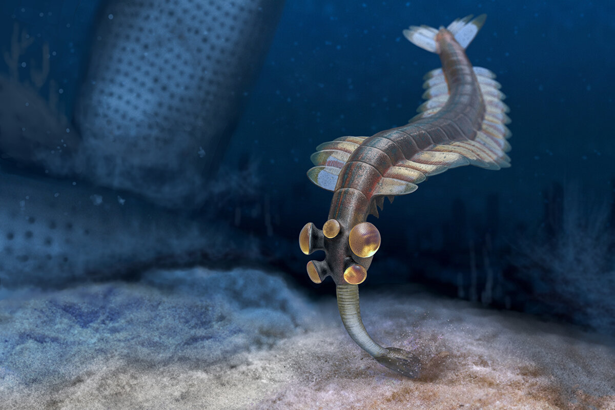 Опабиния. Худ. Андрей Атучин.