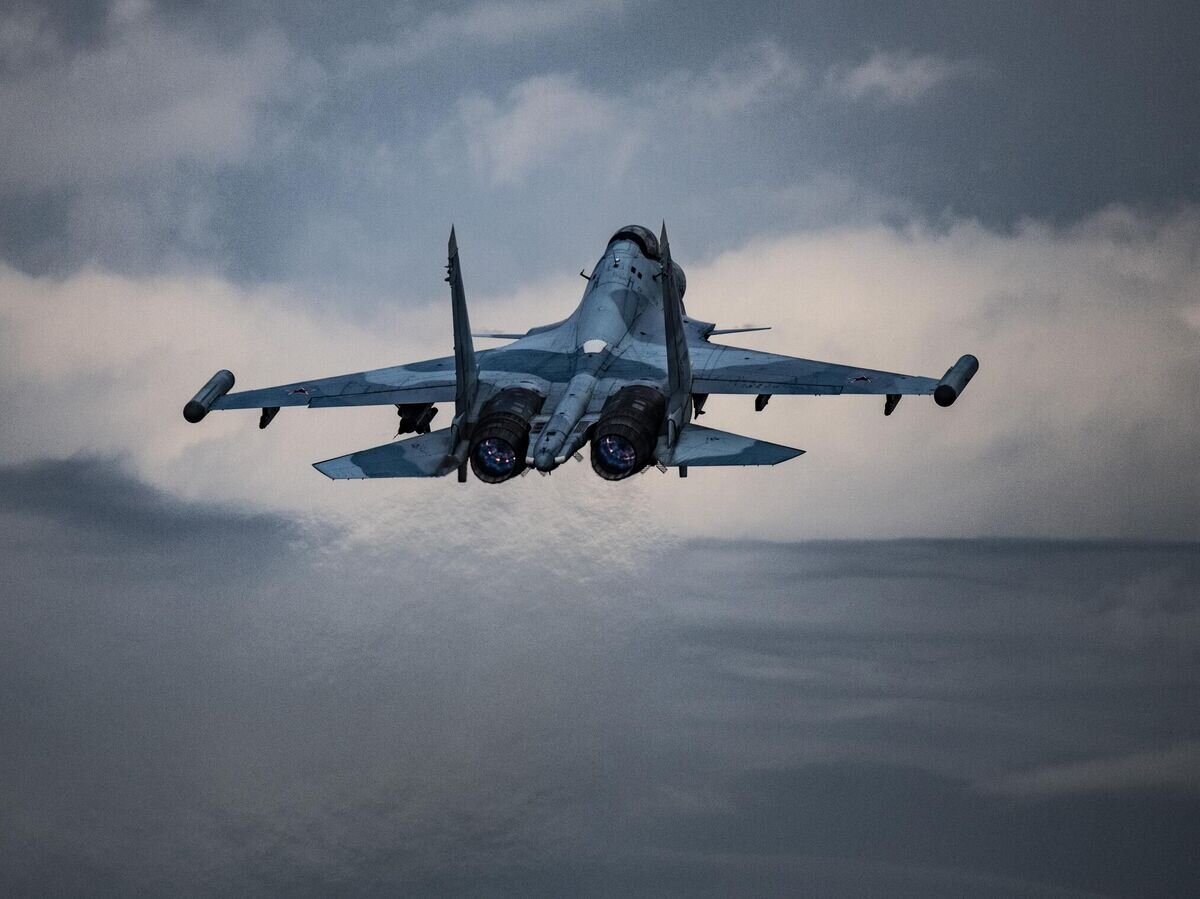    Многоцелевой истребитель Су-30СМ ВКС России© РИА Новости / Валентин Капустин