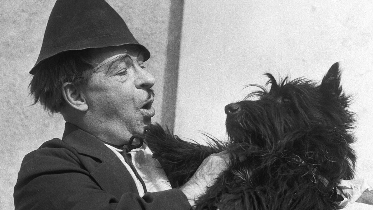 Фото: flectone.ru