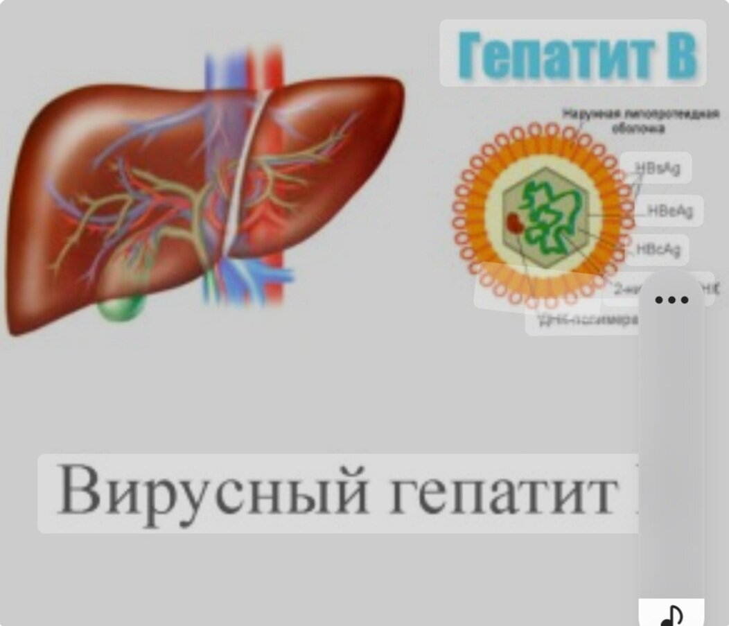 ИНФЕКЦИОННЫЕ ЗАБОЛЕВАНИЯ.