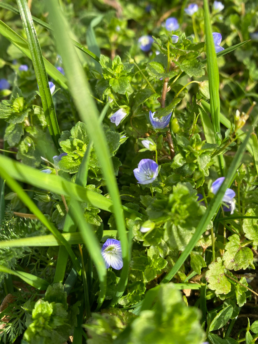 Личное фото, весна 2025