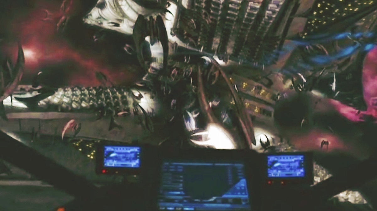 Красиво летят... или парят... или что они делают? 