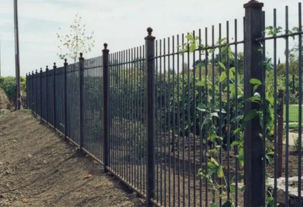 Забор из проф трубы. Металлический забор с откатными воротами. Металлический забор с поликарбонатом. Забор из поликарбоната мп 20. Забор из шпалеры.