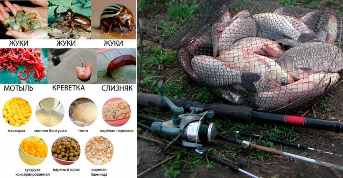 Фото с сайта: https://gruzarf.ru/wp-content/uploads/c/0/5/c05824e0705ff4e1a42f60bd8a1e82a1.jpeg