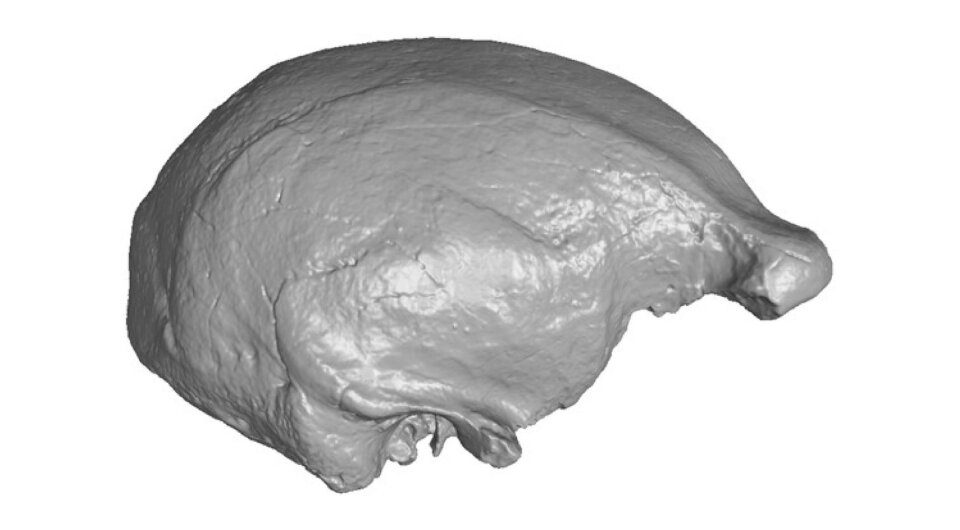   Nadav Mishol et al. / bioRxiv, 2024