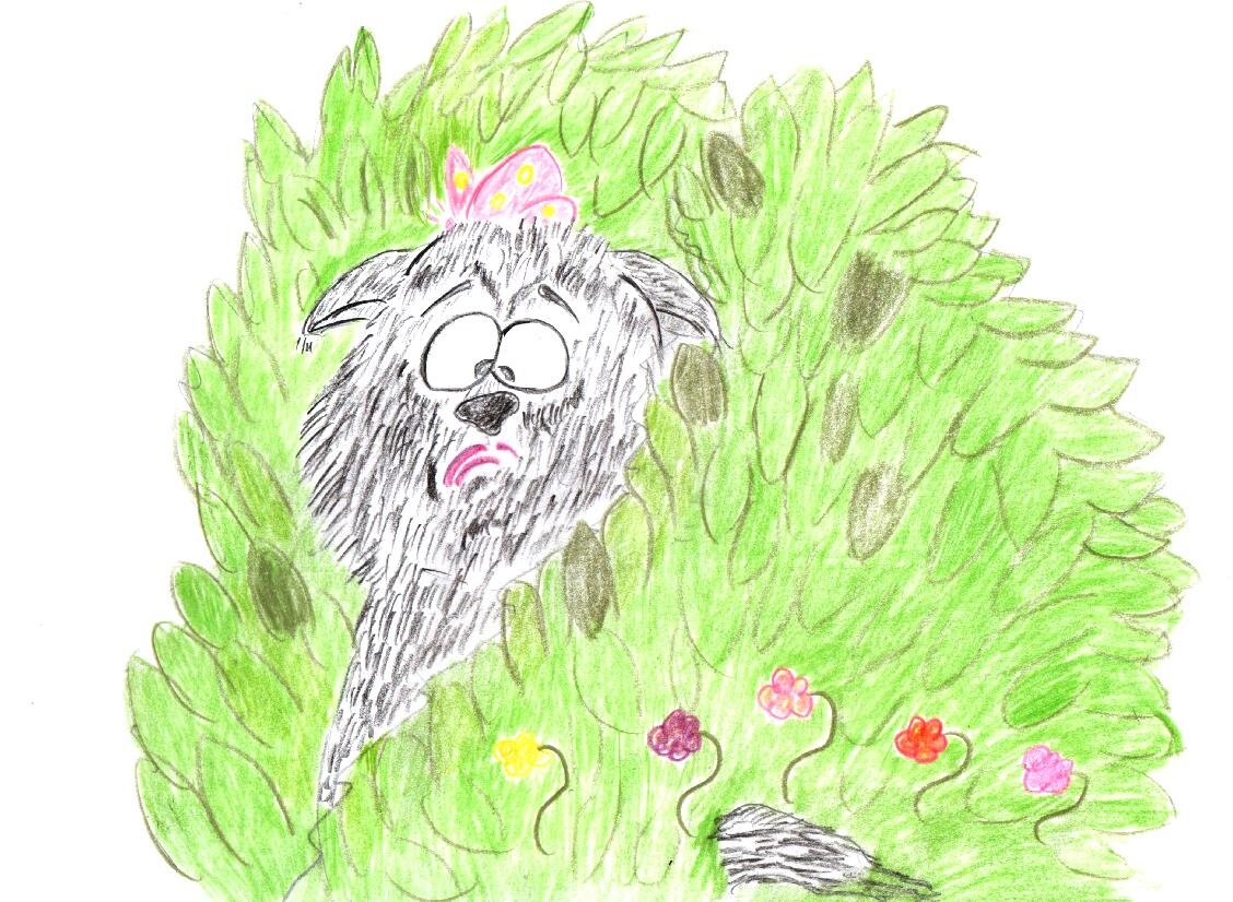 проверяйте продукты питания, чтоб не сдавать зачет по бегу на ближние дистанции