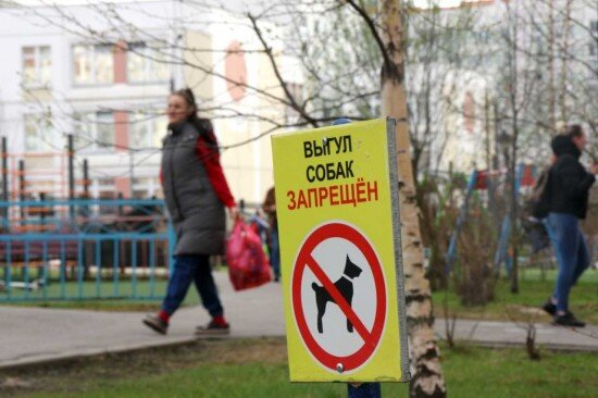    Фото: Кирилл Искольдский