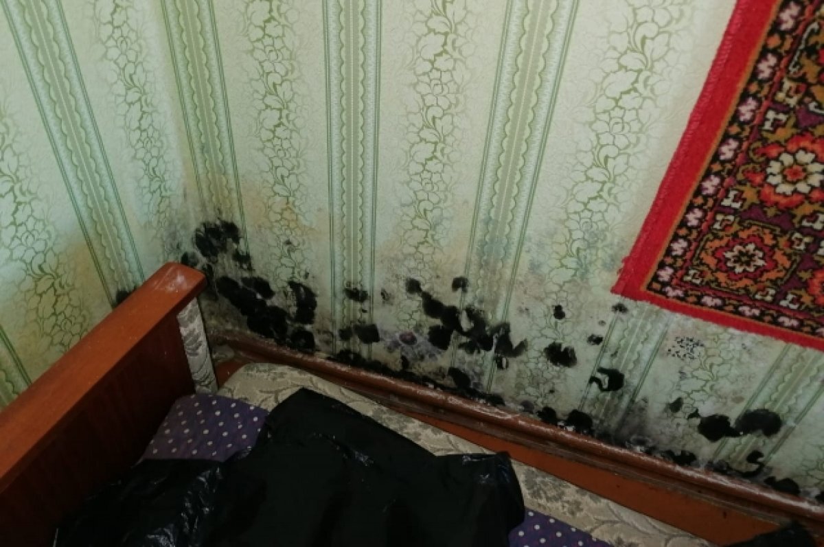    Сормовская администрация объяснила переселение инвалида в дом с плесенью