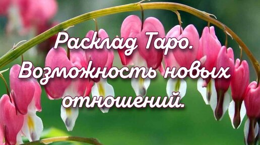 Расклад Таро. Возможность новых отношений.