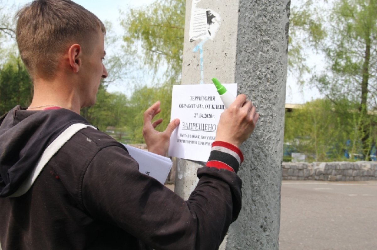    В Омске началась обработка от клещей парков и скверов