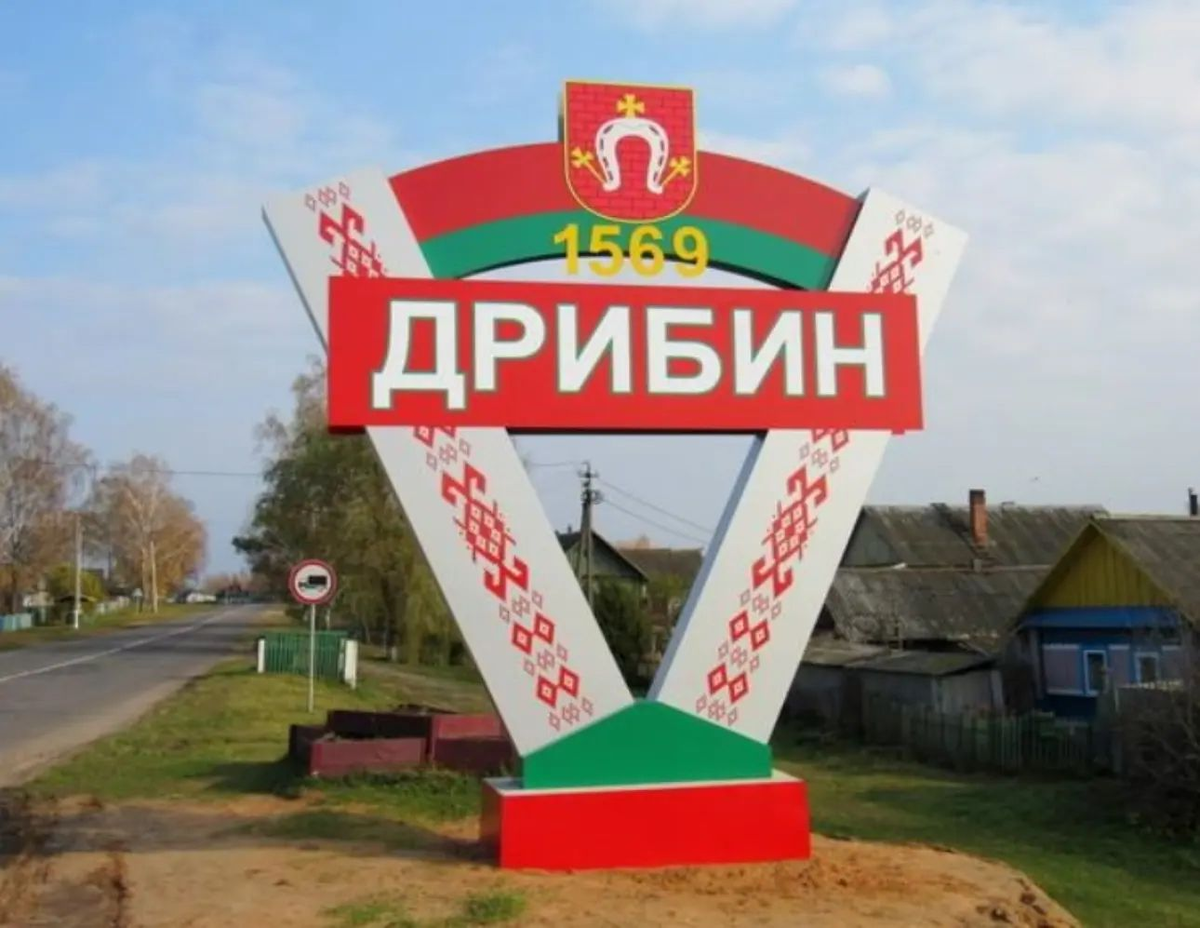 Вот таких деревенских хат в Дрибине большинство. Источник изображения: flectone.ru
