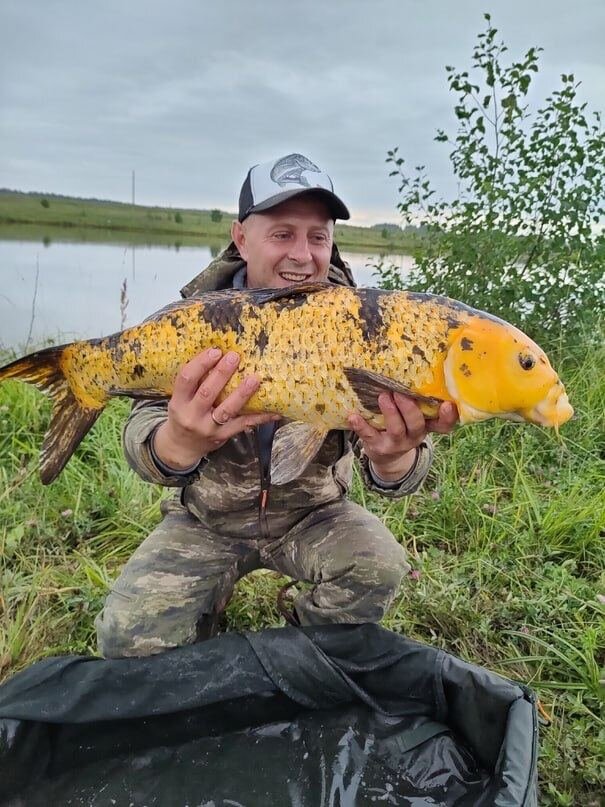 Рыба его мечты оказалась не его)