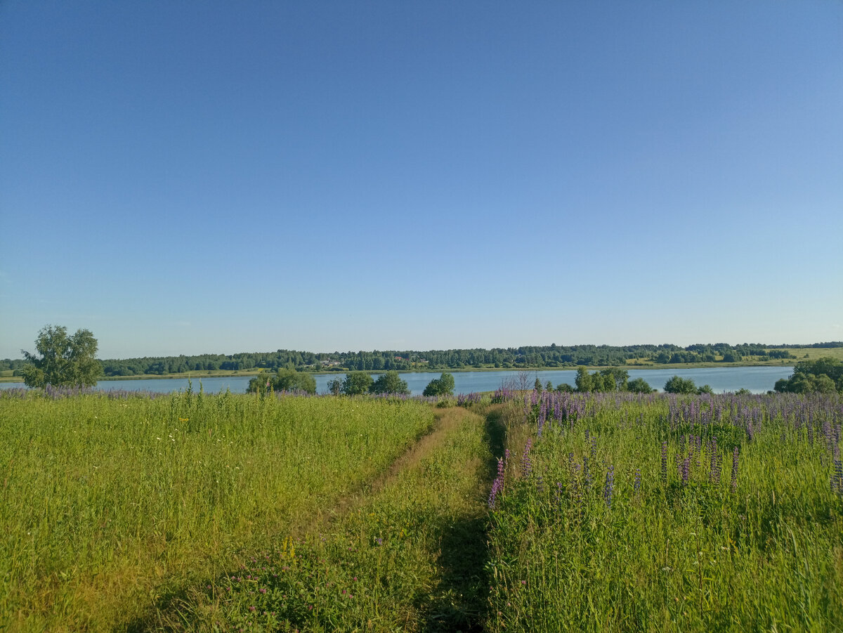 Озеро Муханино и жаркое лето