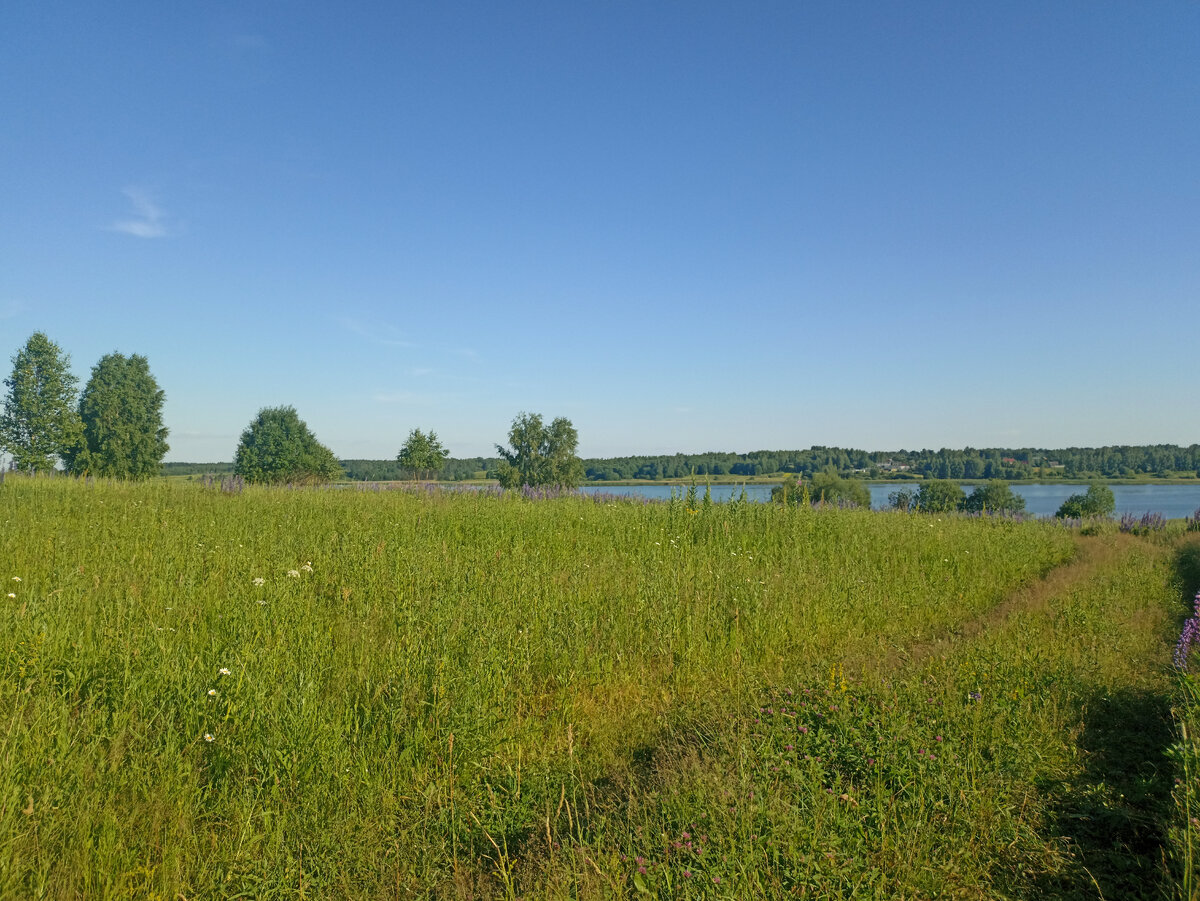 Озеро Муханино и жаркое лето