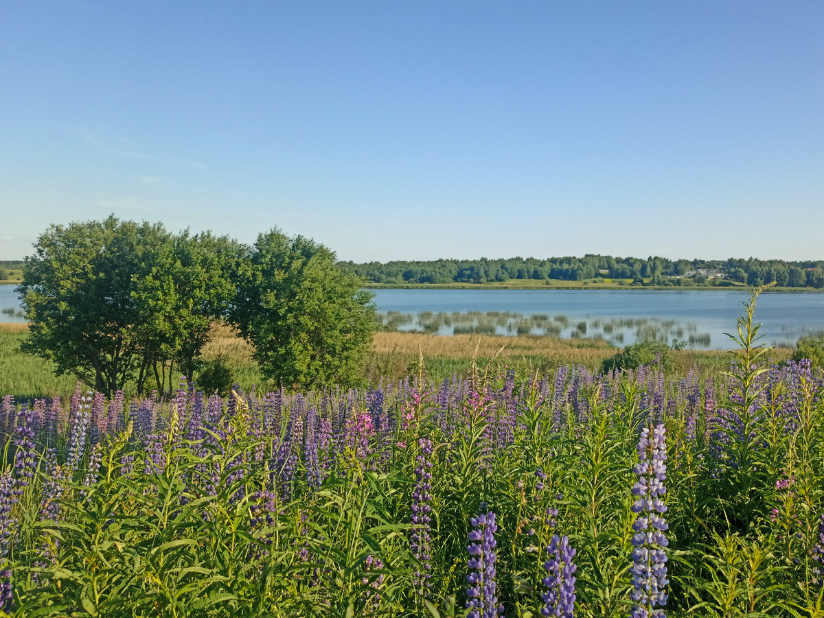 Озеро Муханино и жаркое лето. Листайте карусель