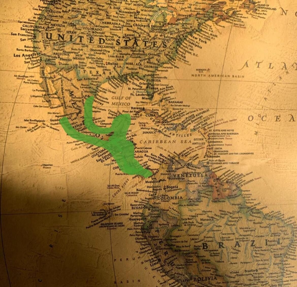 Места произрастания филодендронов