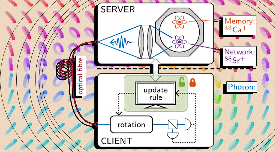   N+1; P. Drmota et al. / Physical Review Letters, 2024