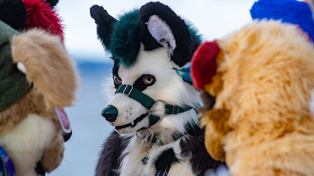    Stefan Sauer/dpa/Globallookpress