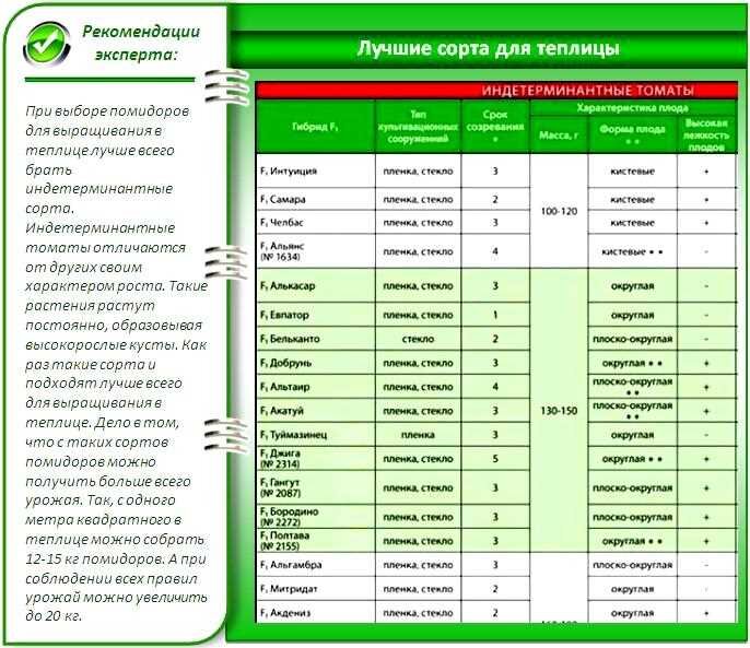 Томаты таблицы. Таблица подкормки томатов в теплице. Таблица подкормок тепличных томатов. Таблица подкормок огурцов в теплице из поликарбоната. Таблица для выращивания сортов томатов.