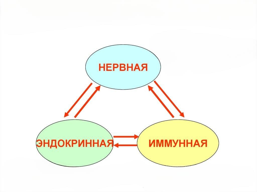 Картинка из свободных источников интернета 