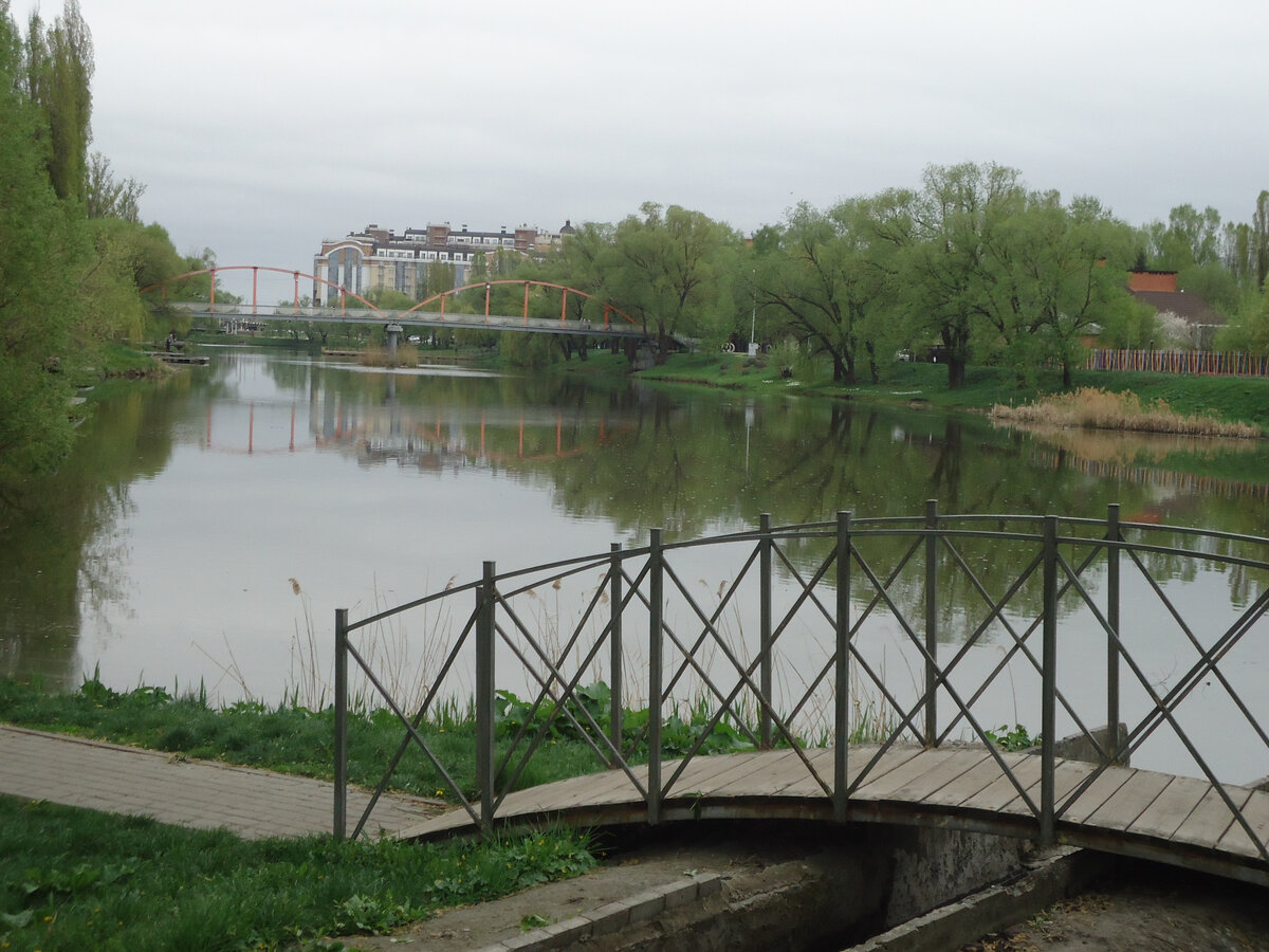 Променад на набережной реки Везёлка в Белгороде | Путешествия из Белгорода  | Дзен