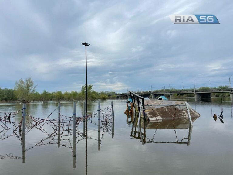    Оценка ущерба и санобработка. В Оренбуржье продолжается ликвидация последствий паводка Андрей Севостьянов