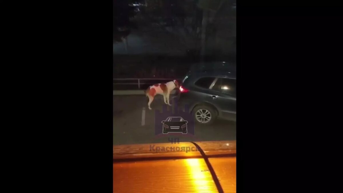     Источник: t.me/kraschp