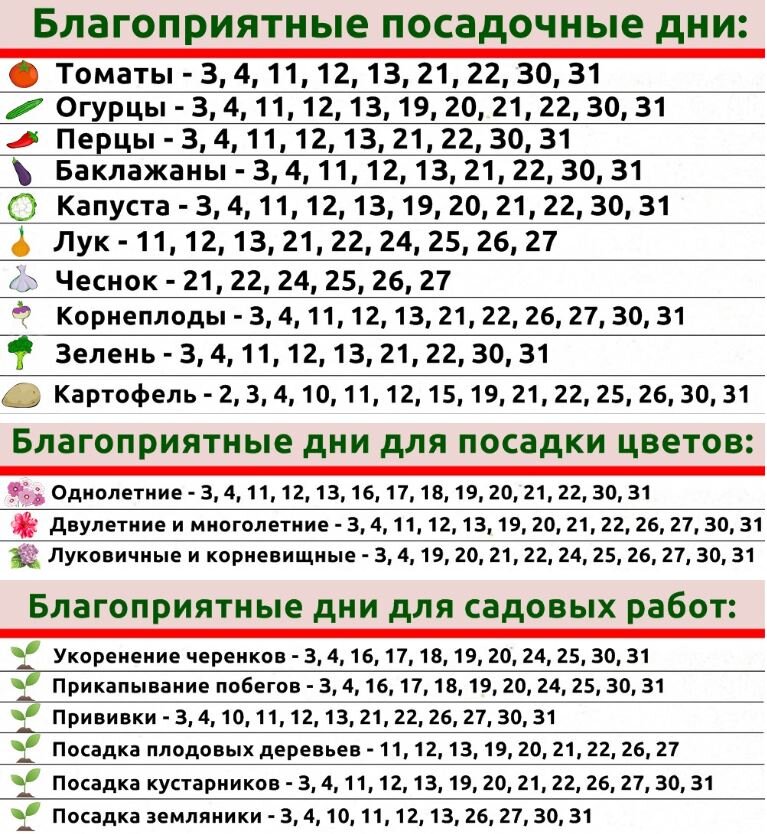 Наступает время работ в открытом грунте! Правильно выбирайте время для посевов и посадок, чтобы в будущем получить обильный урожай.-2